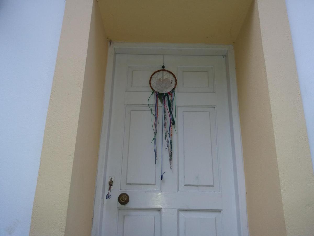 Strinilas Elm Tree Dream Catcher מראה חיצוני תמונה